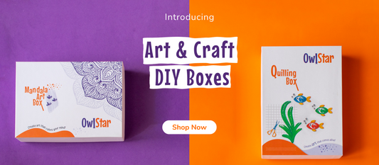 Case Study: Launch and Management of Owlstar – A D2C Art & Craft Brand
