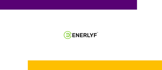 Case Study: Brand Strategy & Lead Generation for Enerlyf